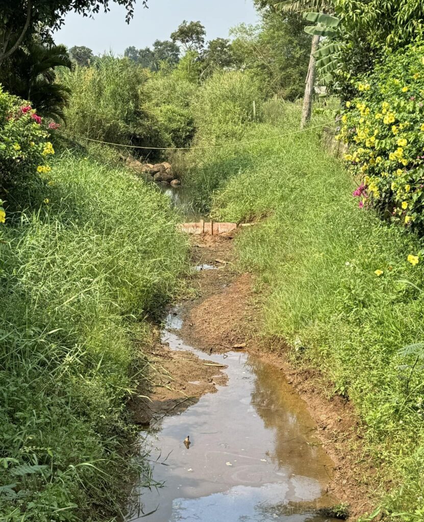 Rebuilding-The-Stream-Retaining-Wall-At-Thien-An-2